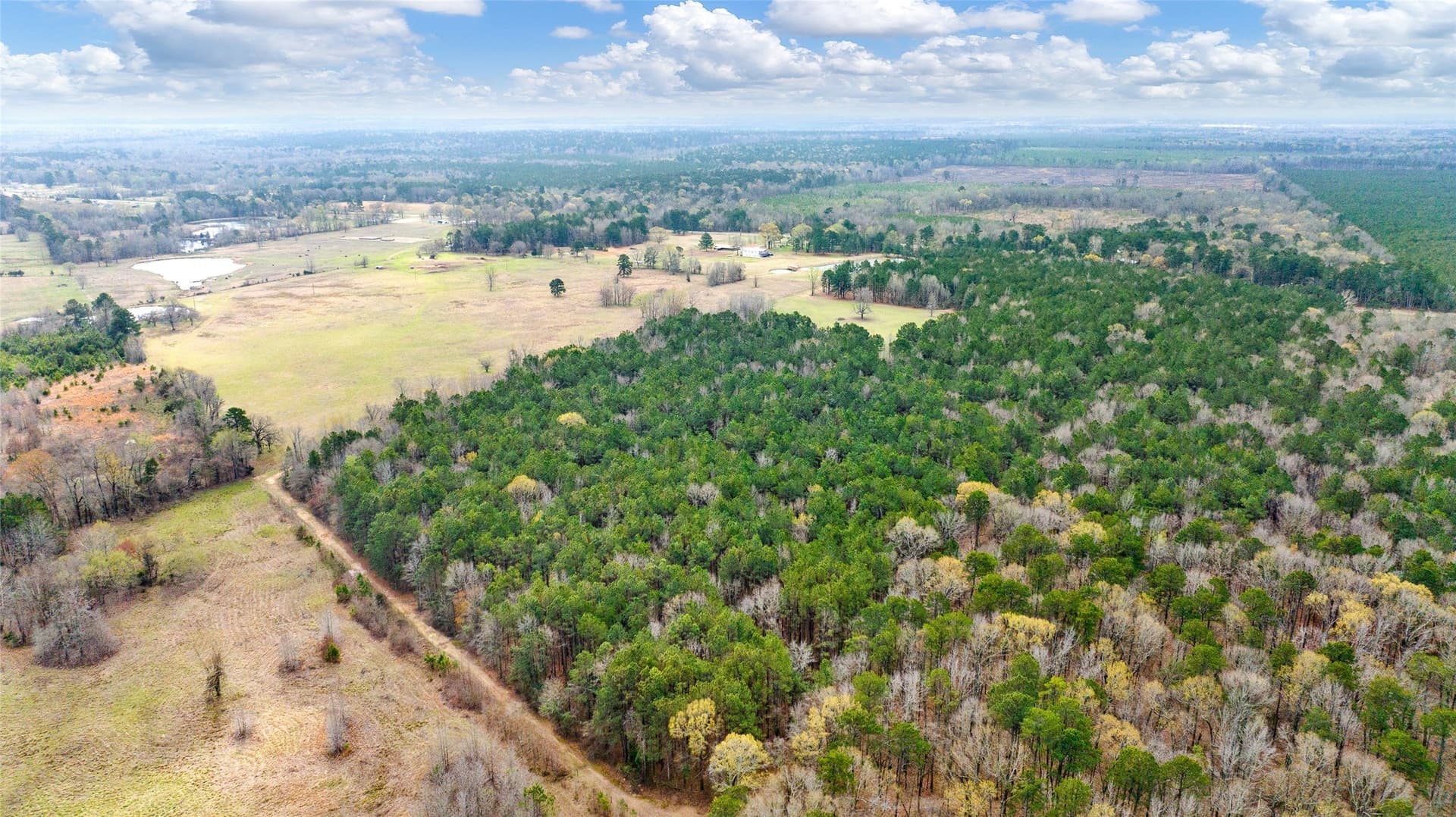 70.53 acres in Red River (TX) County - photo 35