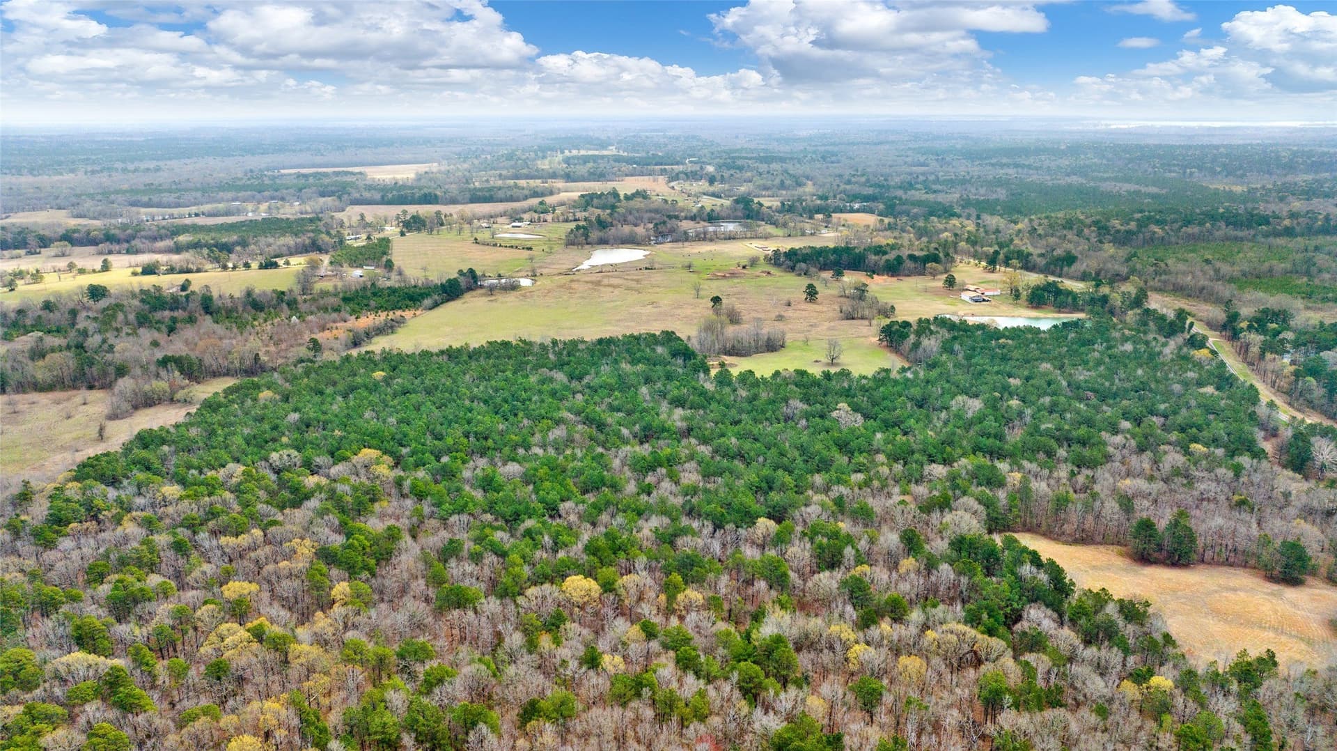 70.53 acres in Red River (TX) County - photo 8