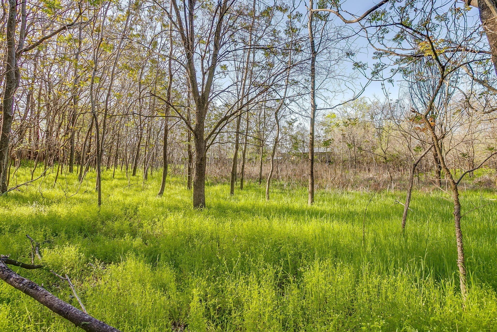1.33 acres in Parker County - photo 14