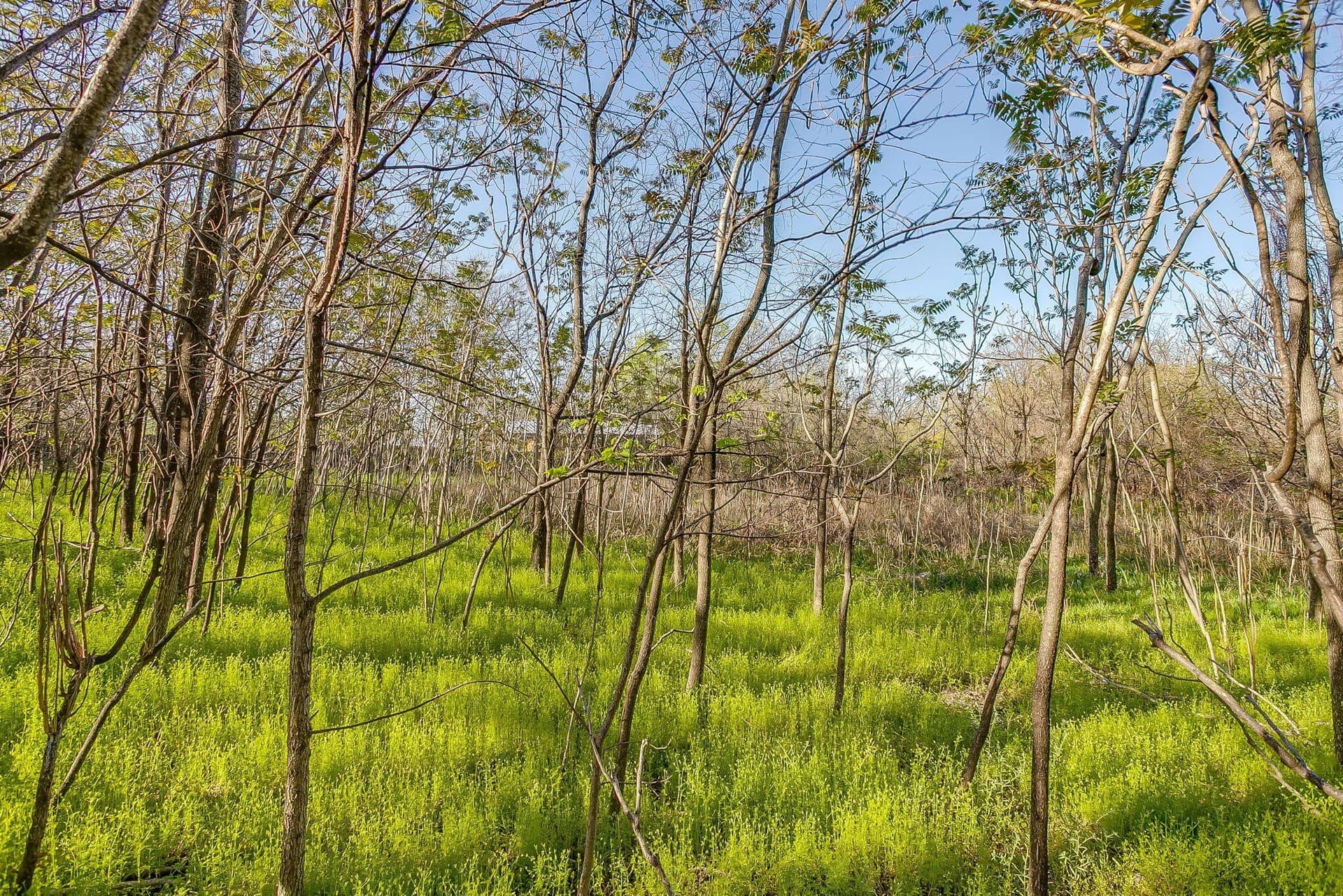 1.33 acres in Parker County - photo 18