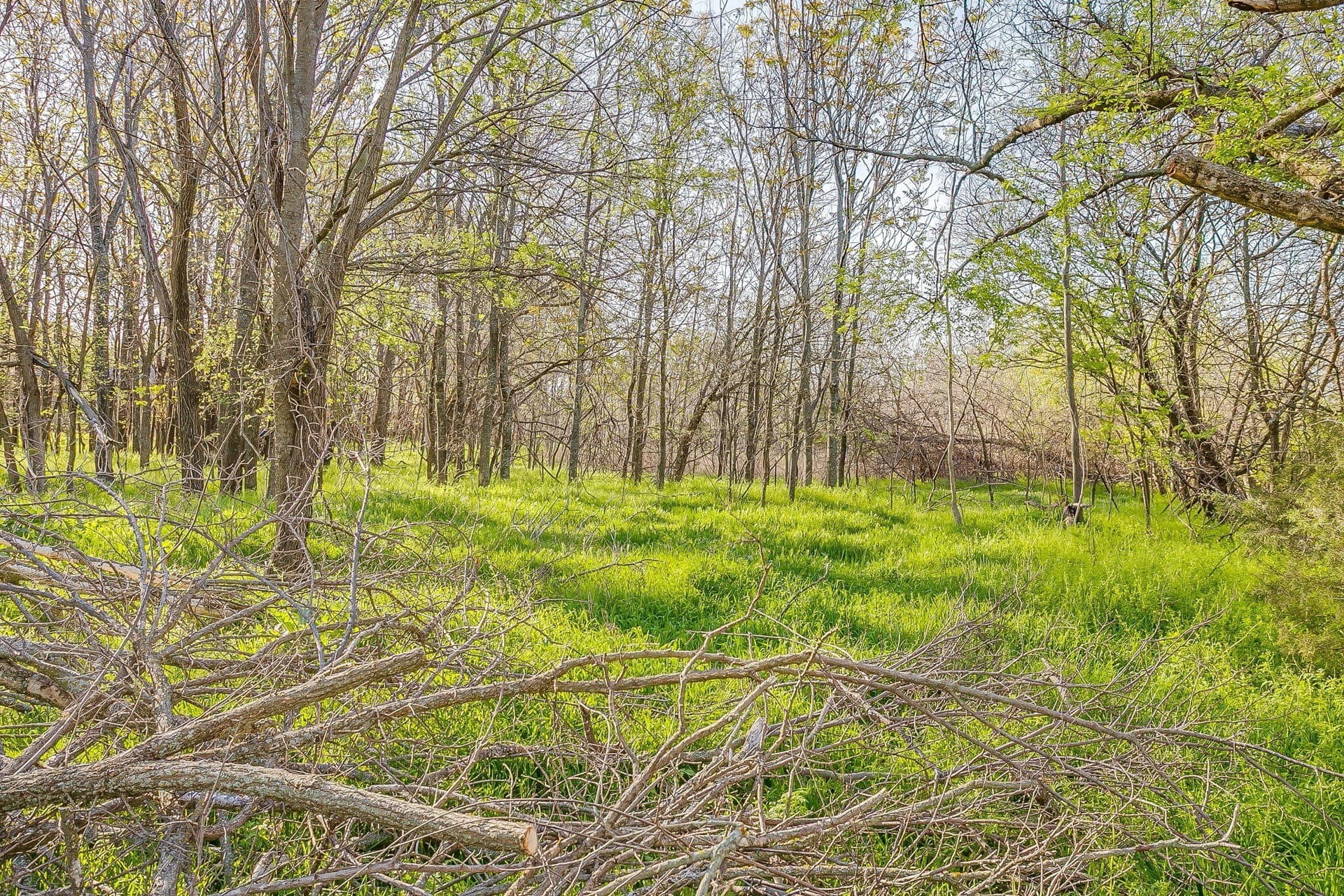 1.33 acres in Parker County - photo 17