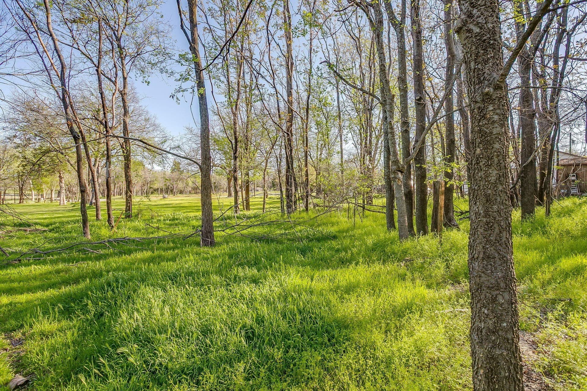 1.33 acres in Parker County - photo 15