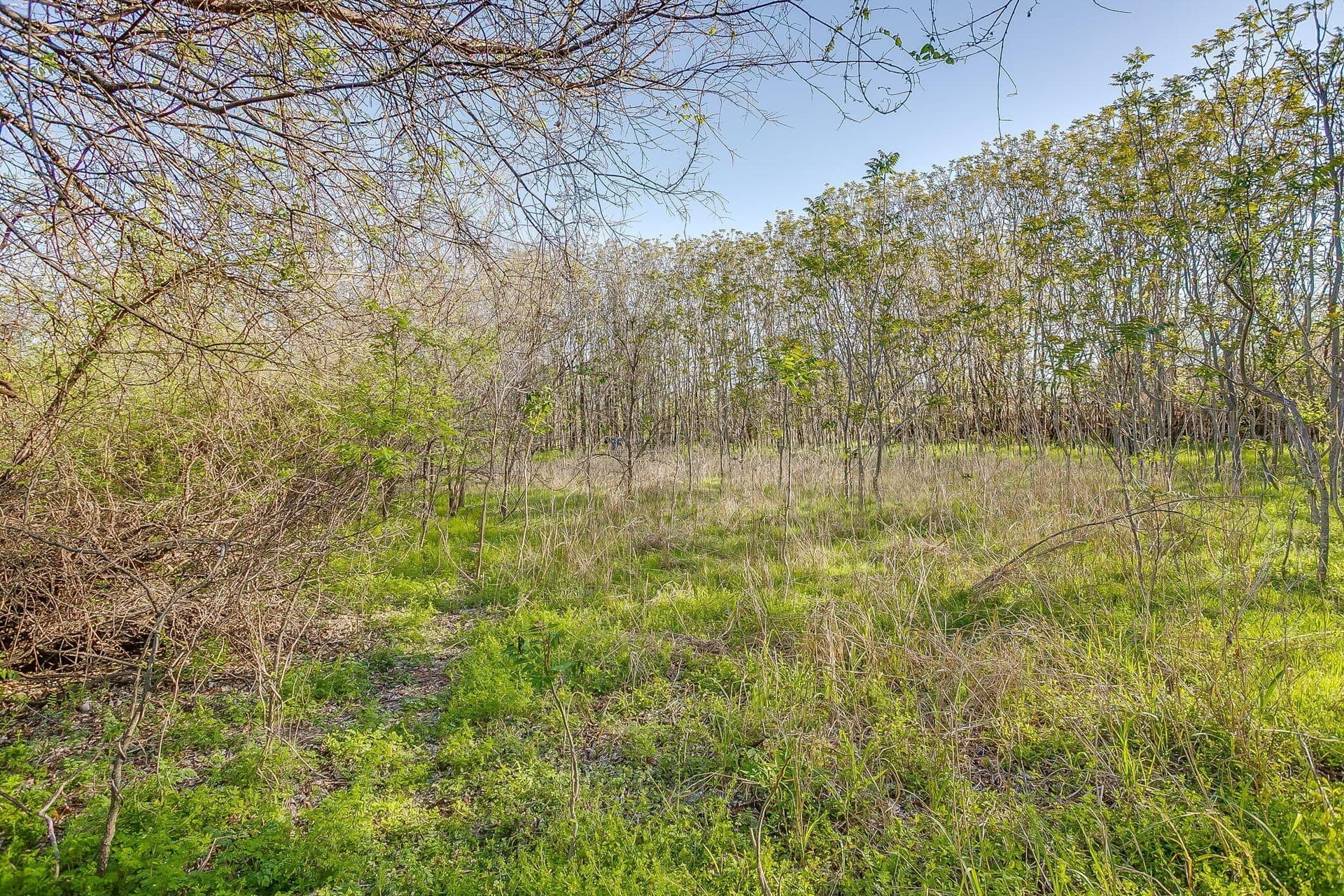 1.33 acres in Parker County - photo 20