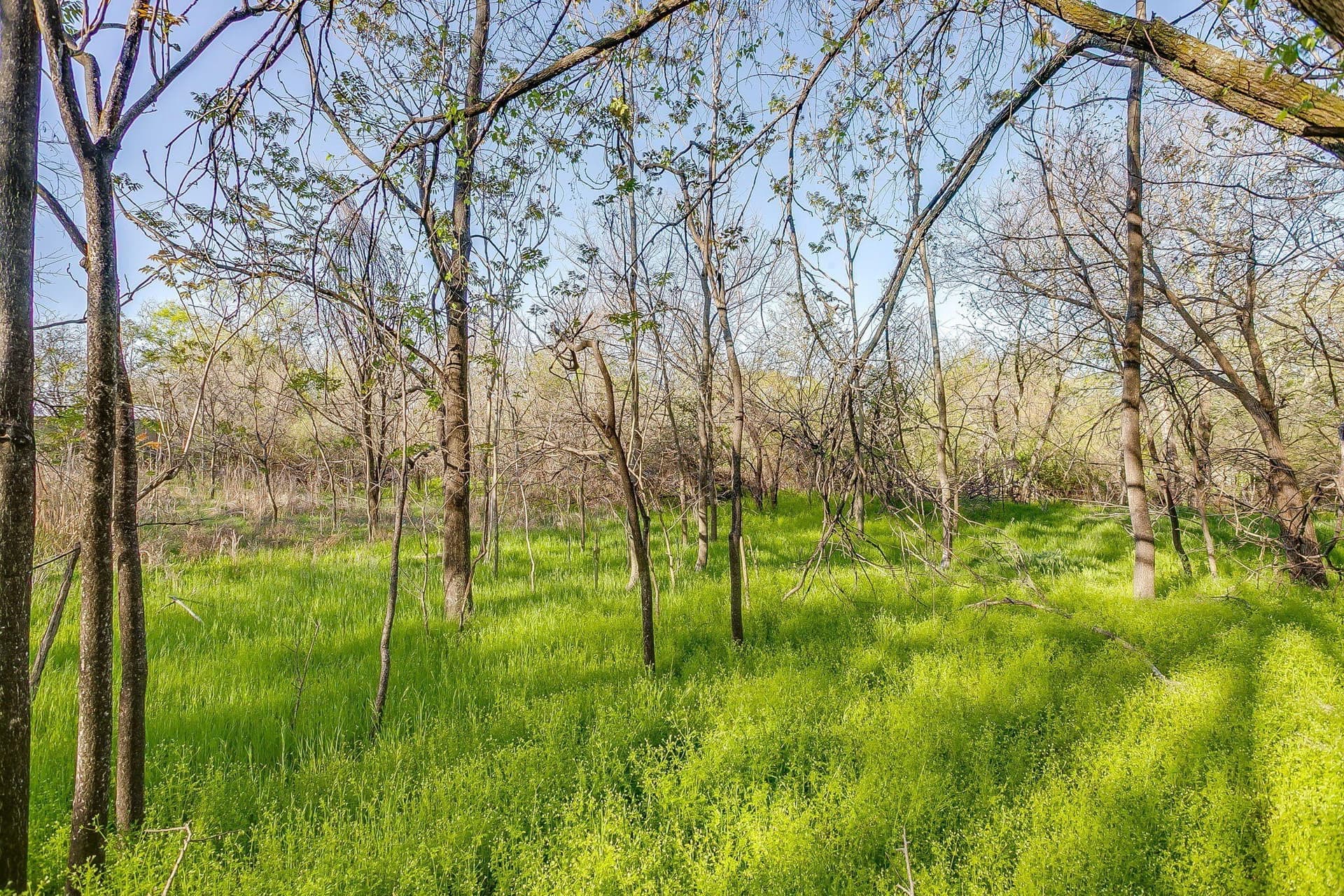 1.33 acres in Parker County - photo 13