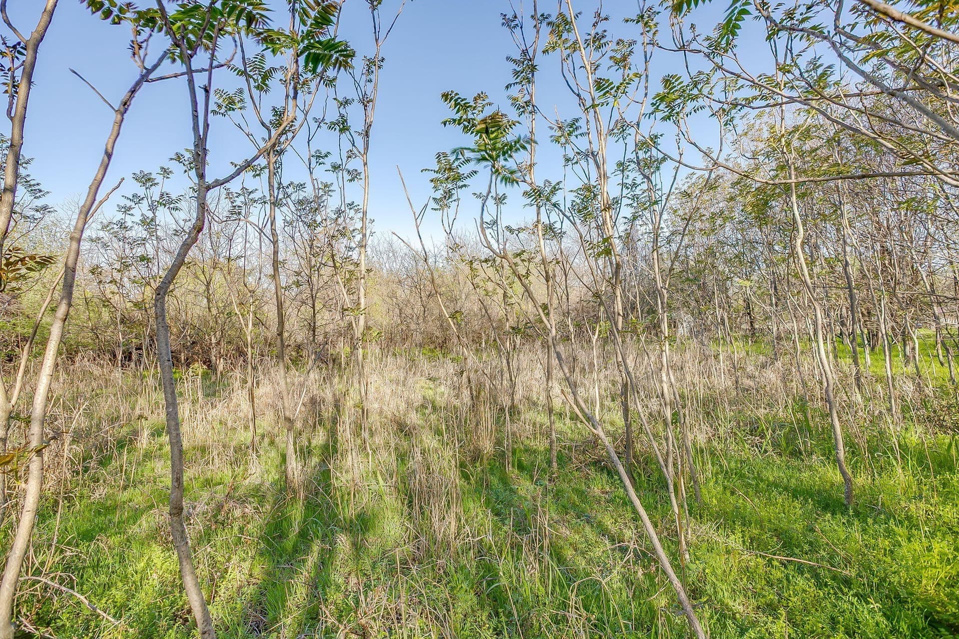 1.33 acres in Parker County - photo 21