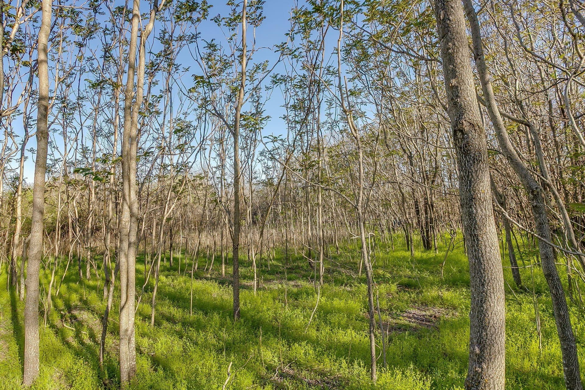 1.33 acres in Parker County - photo 19