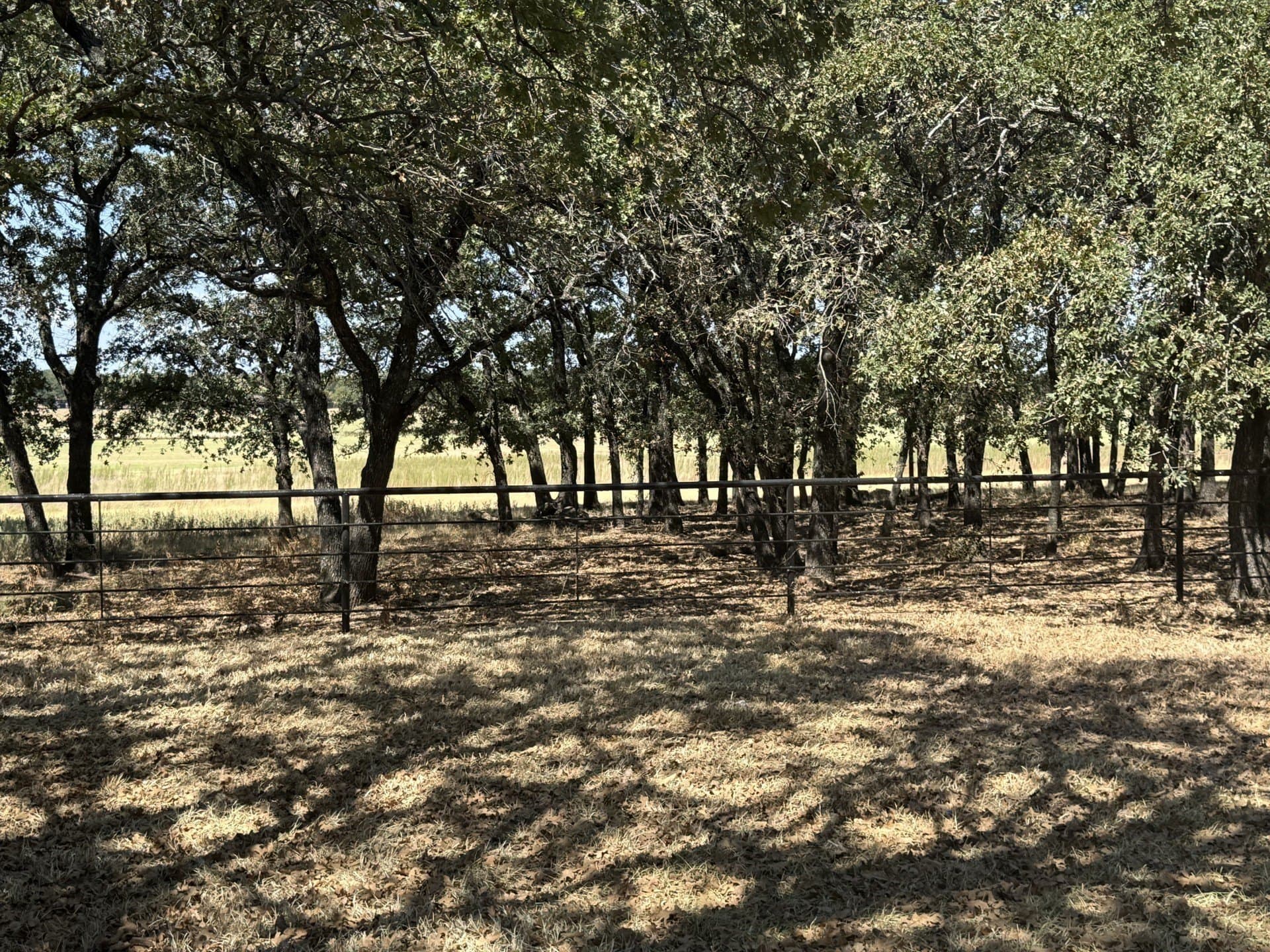 40 acres in Wise County