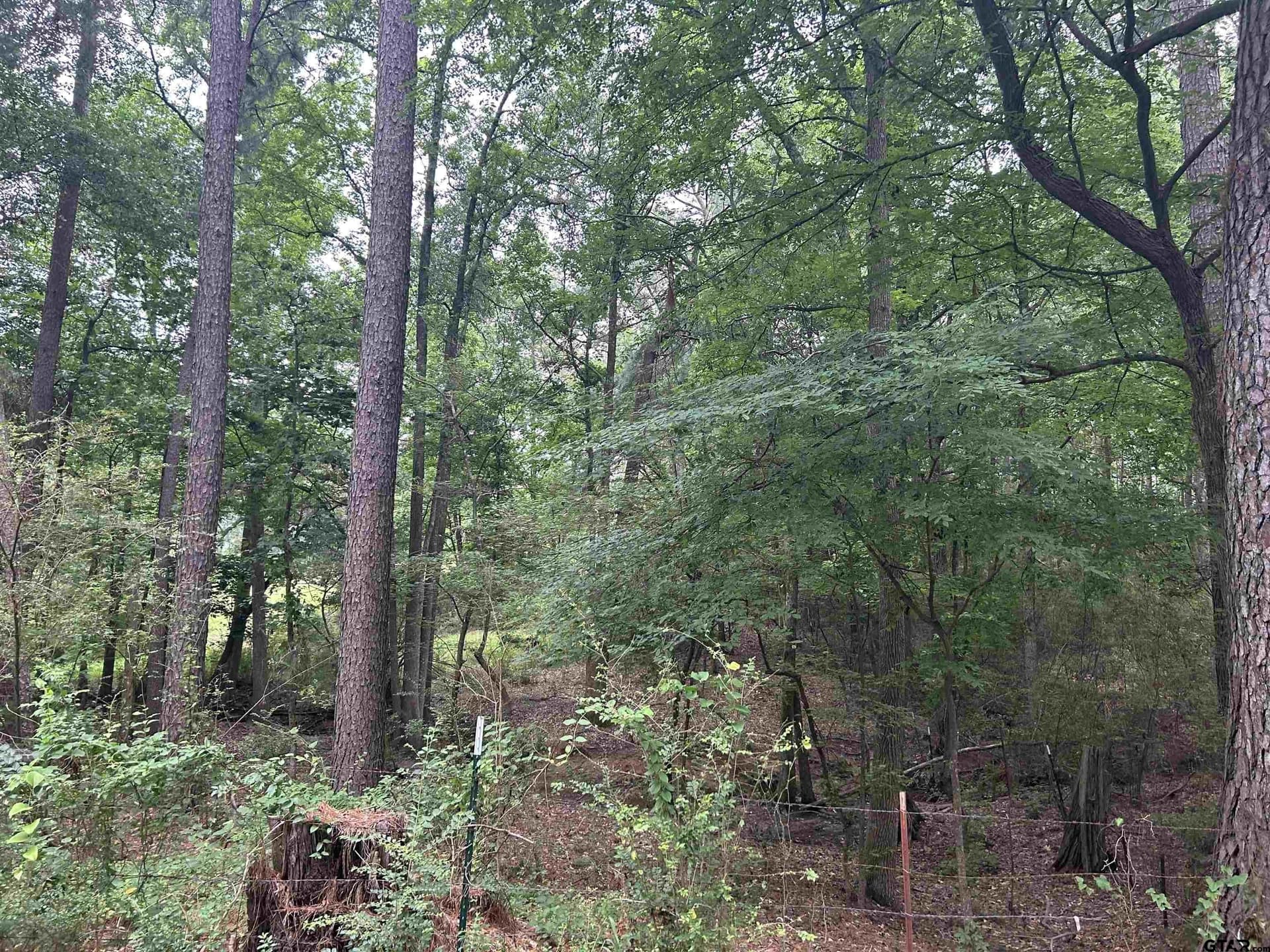 5.45 acres in Smith County featured view