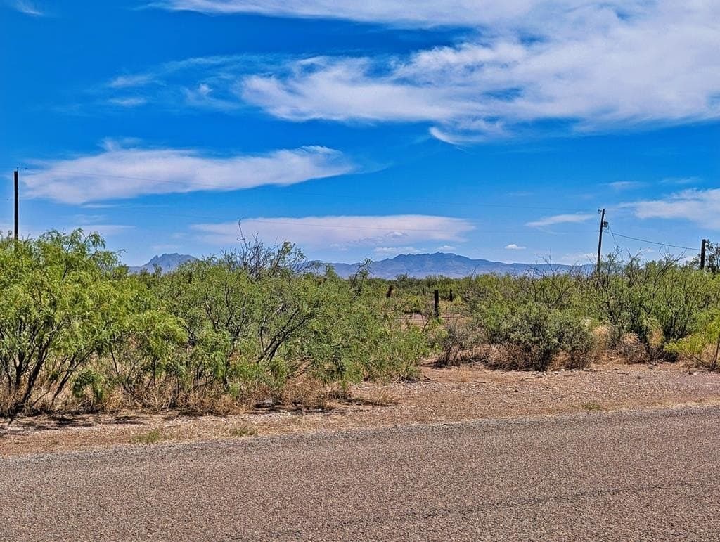 0.44 acres in Jeff Davis County