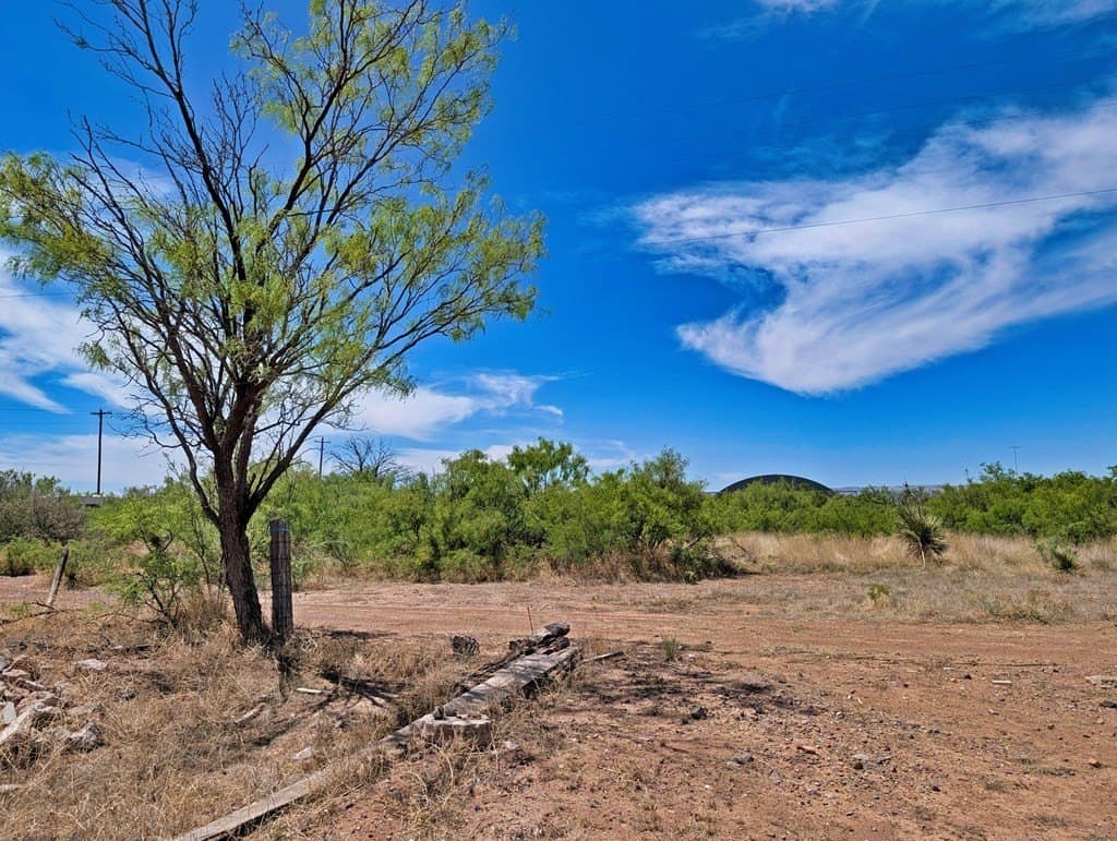0.44 acres in Jeff Davis County - photo 7