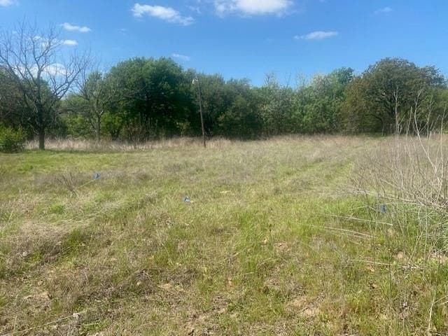 20 acres in Falls County gallery image 2