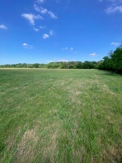 20 acres in Falls County gallery image 4