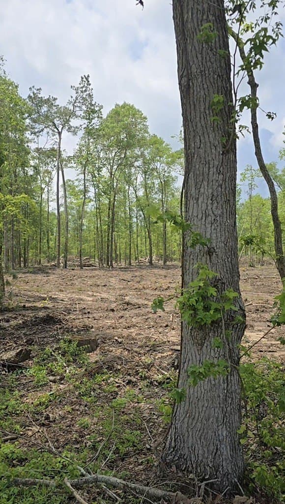 12.33 acres in Texas County featured view