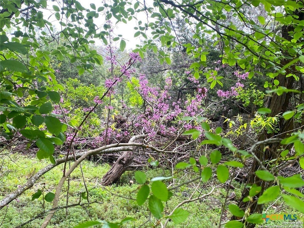 3.27 acres in Comal County featured view