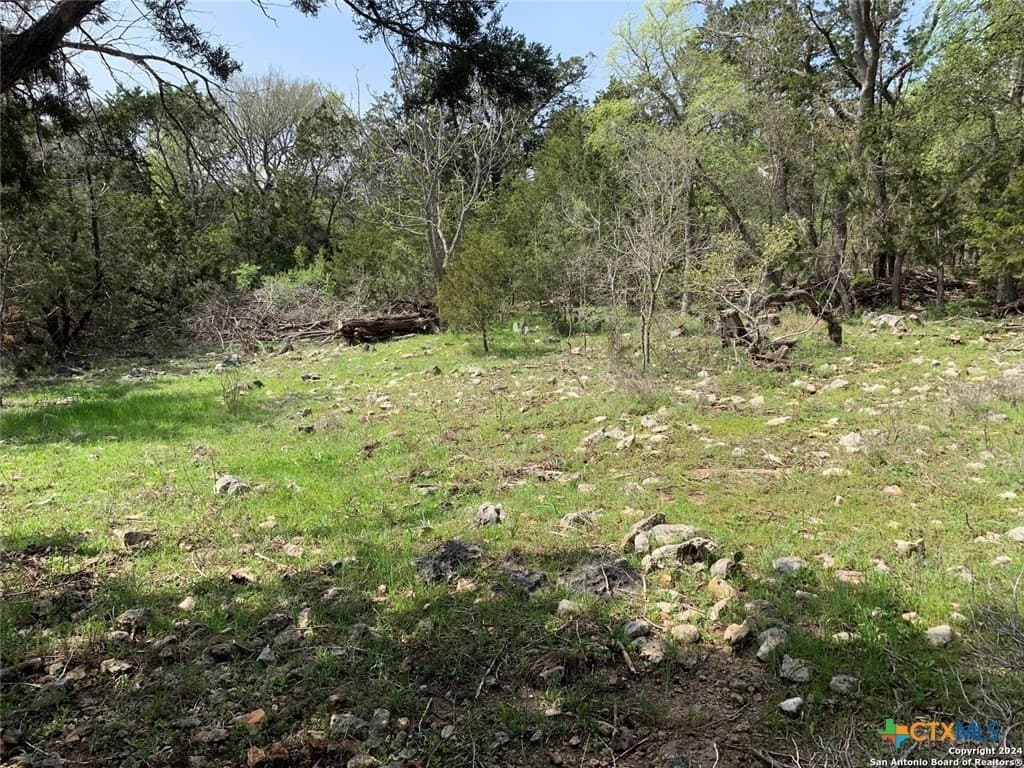 3.27 acres in Comal County gallery image 4