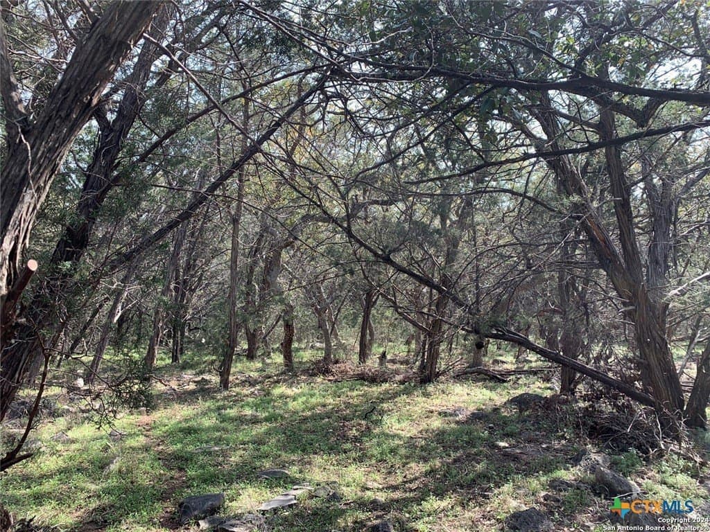 3.27 acres in Comal County gallery image 3