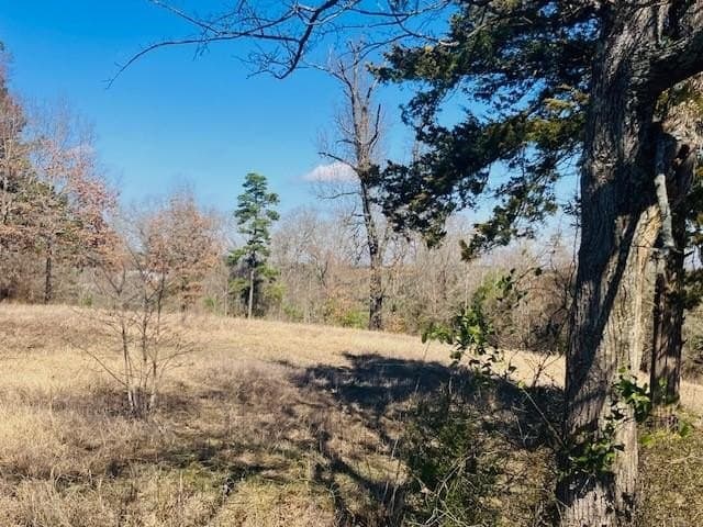 3.19 acres in Smith County gallery image 4