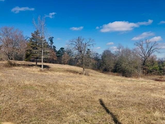 3.19 acres in Smith County gallery image 3