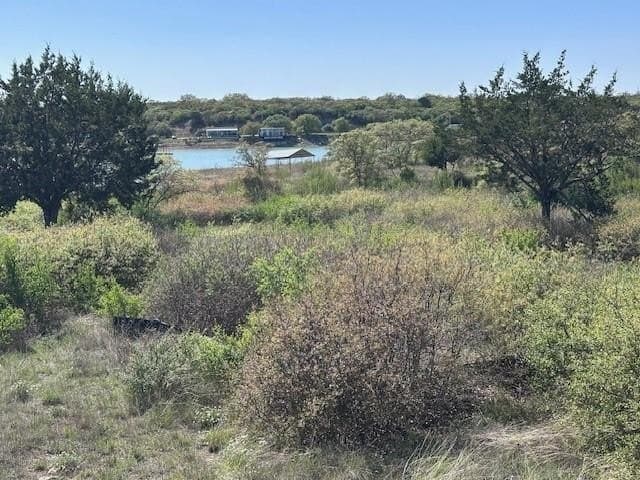 0.9 acres in Eastland County gallery image 2