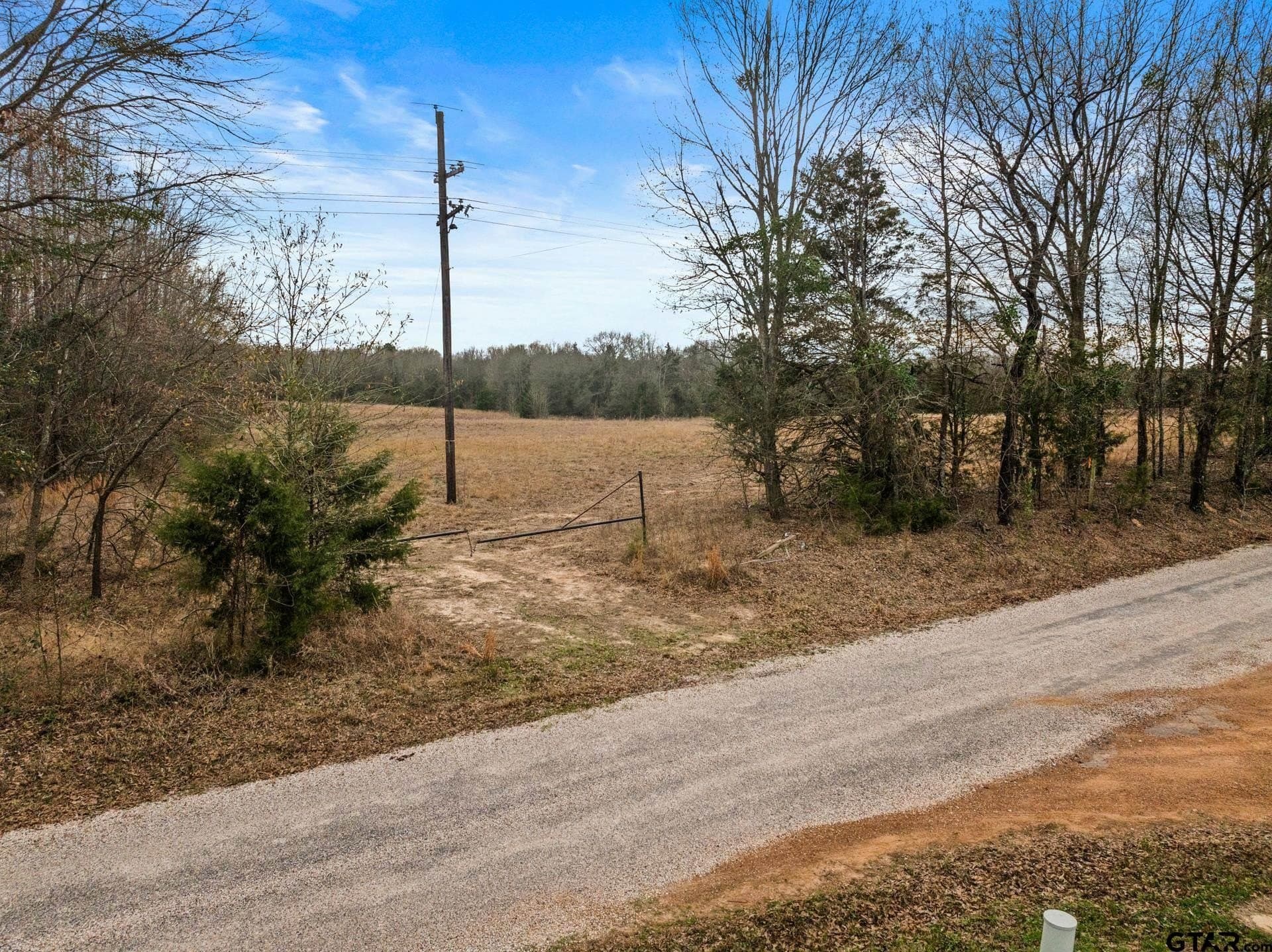 51 acres in Camp County featured view
