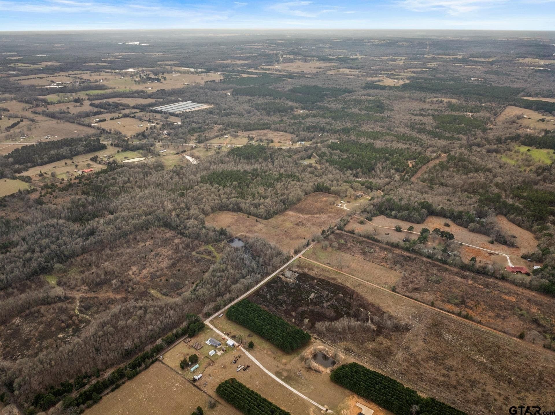 51 acres in Camp County gallery image 2