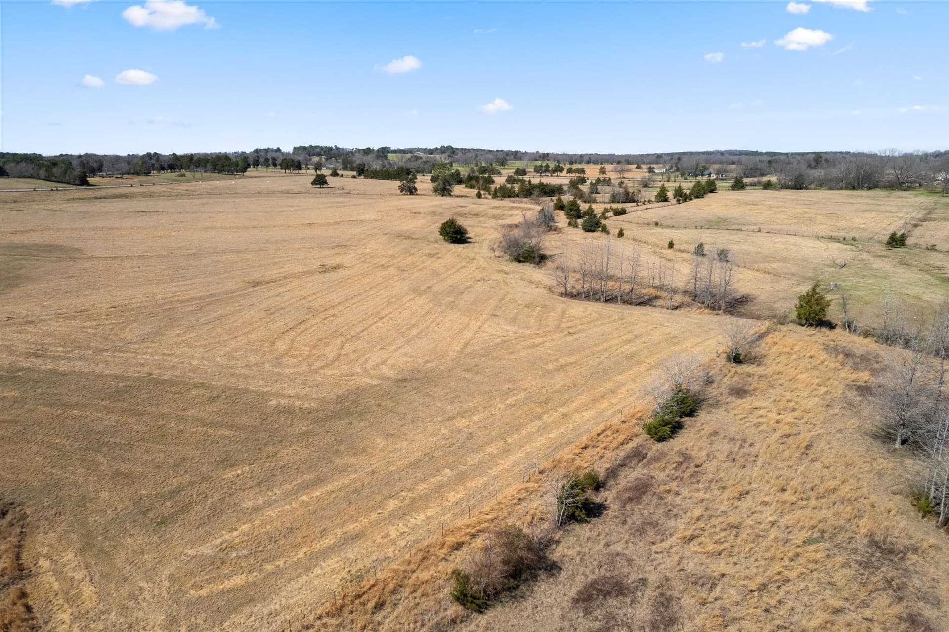 23.92 acres in Titus County - photo 12