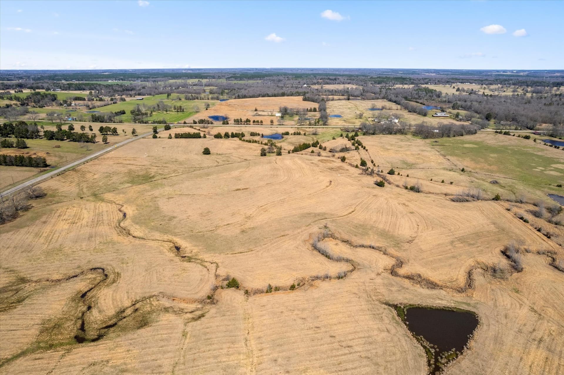 23.92 acres in Titus County - photo 17