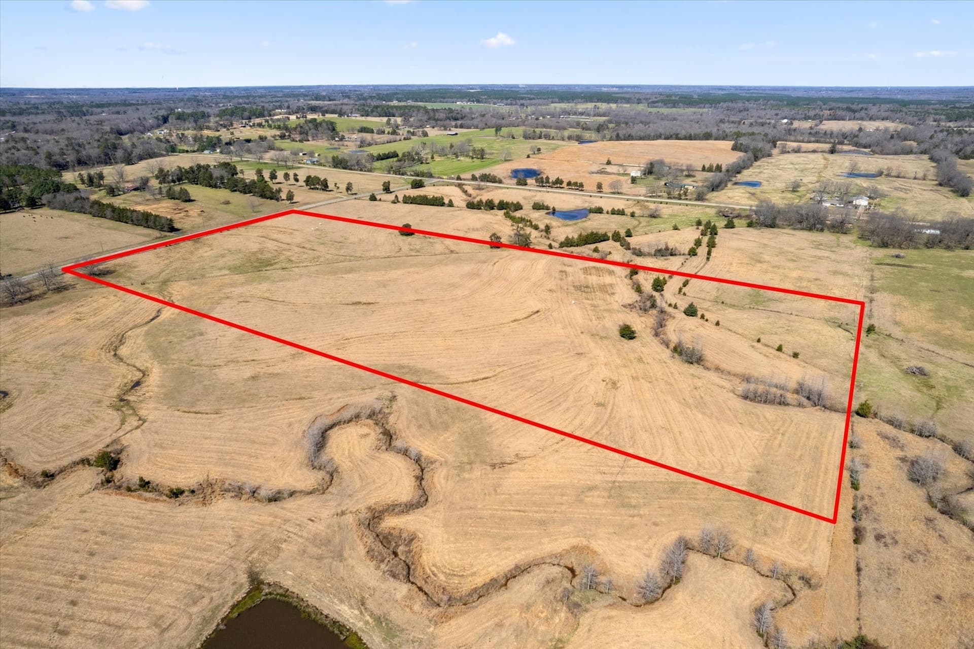 23.92 acres in Titus County gallery image 3