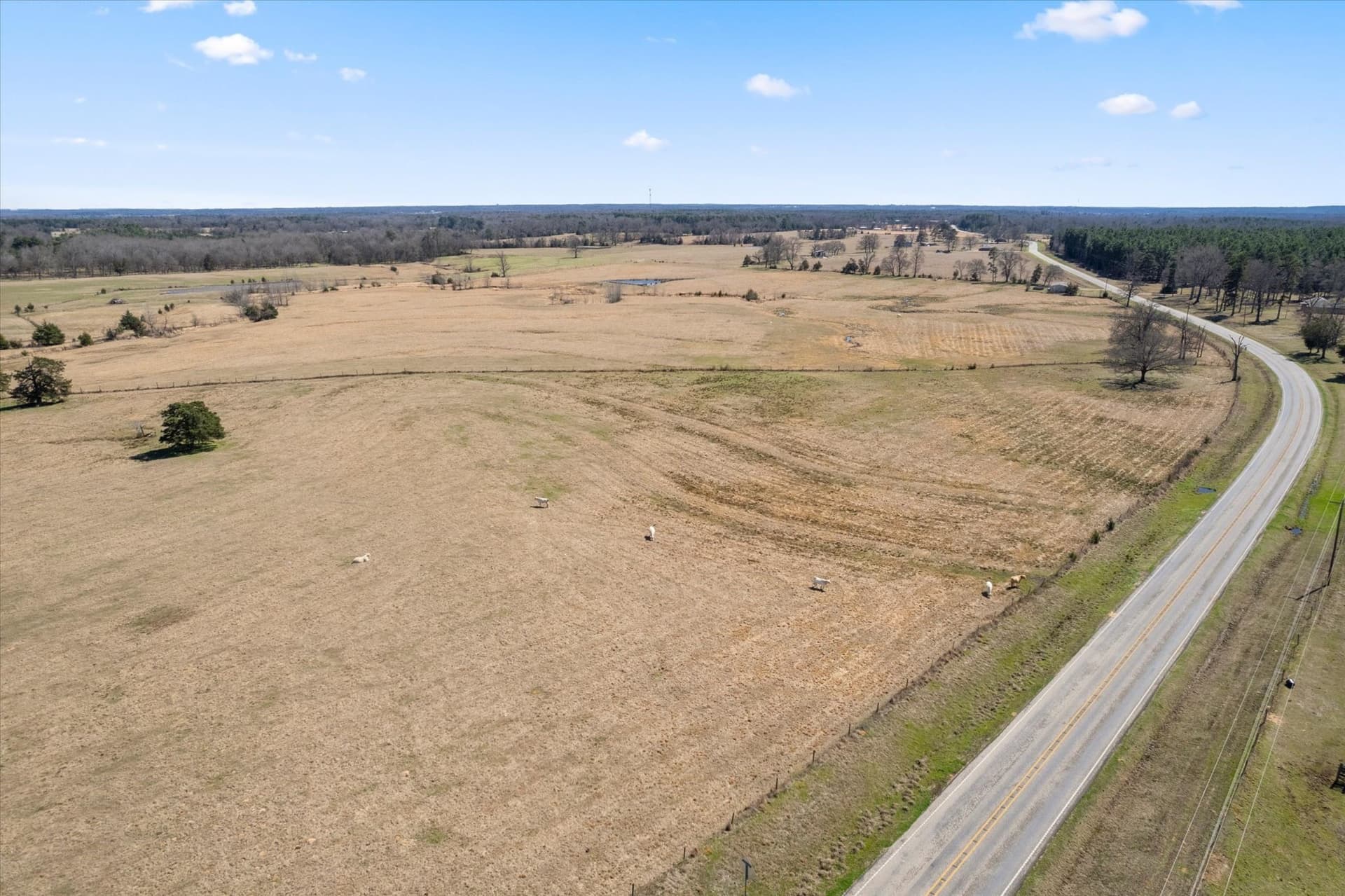 23.92 acres in Titus County - photo 13