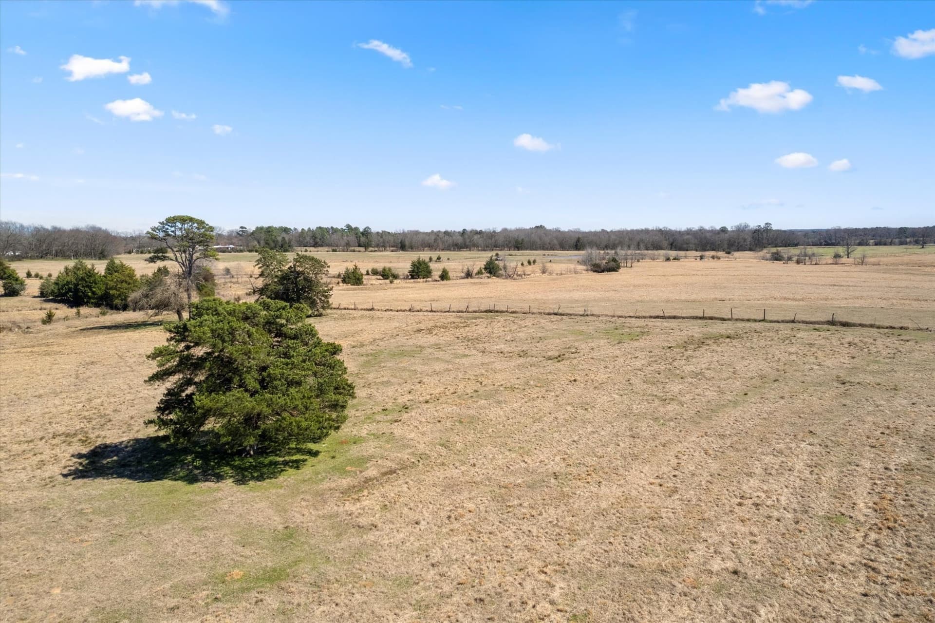 23.92 acres in Titus County - photo 15