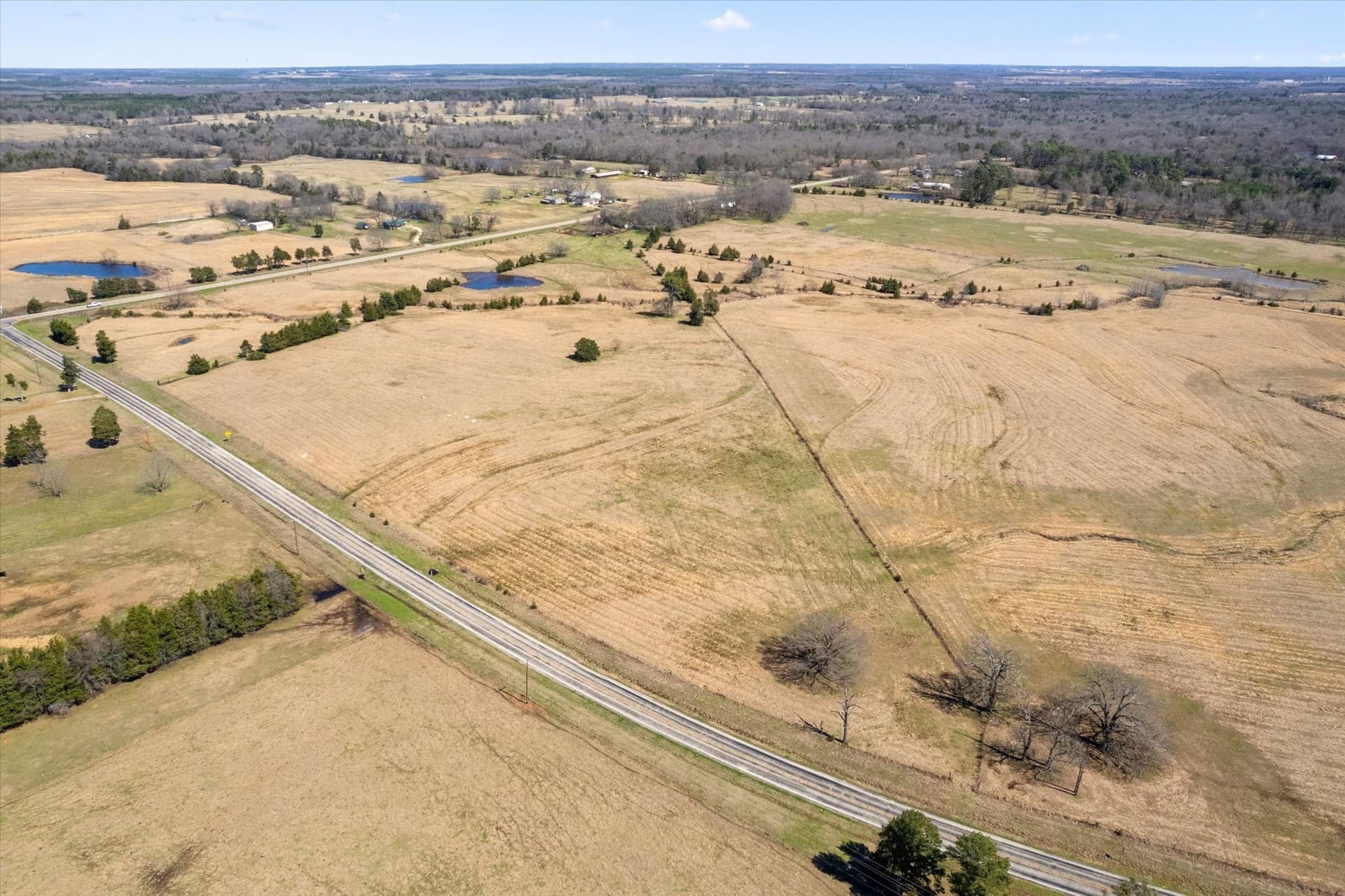 23.92 acres in Titus County - photo 9