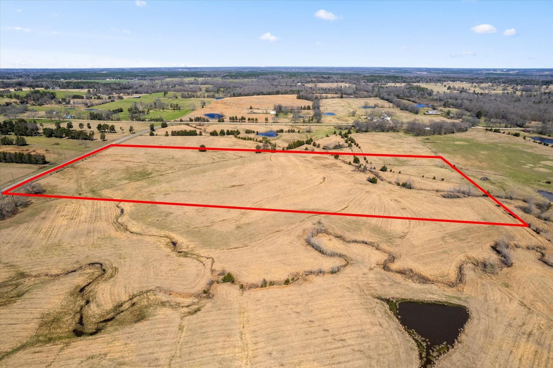 23.92 acres in Titus County - photo 6