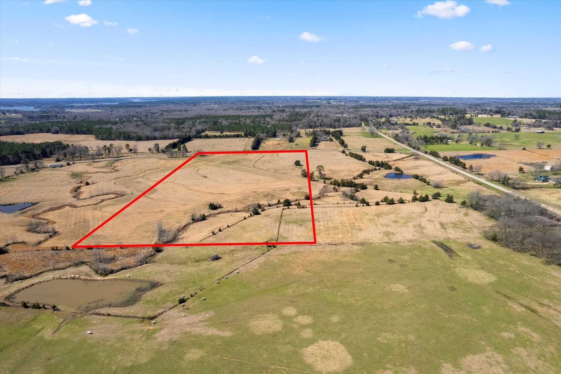 23.92 acres in Titus County gallery image 4