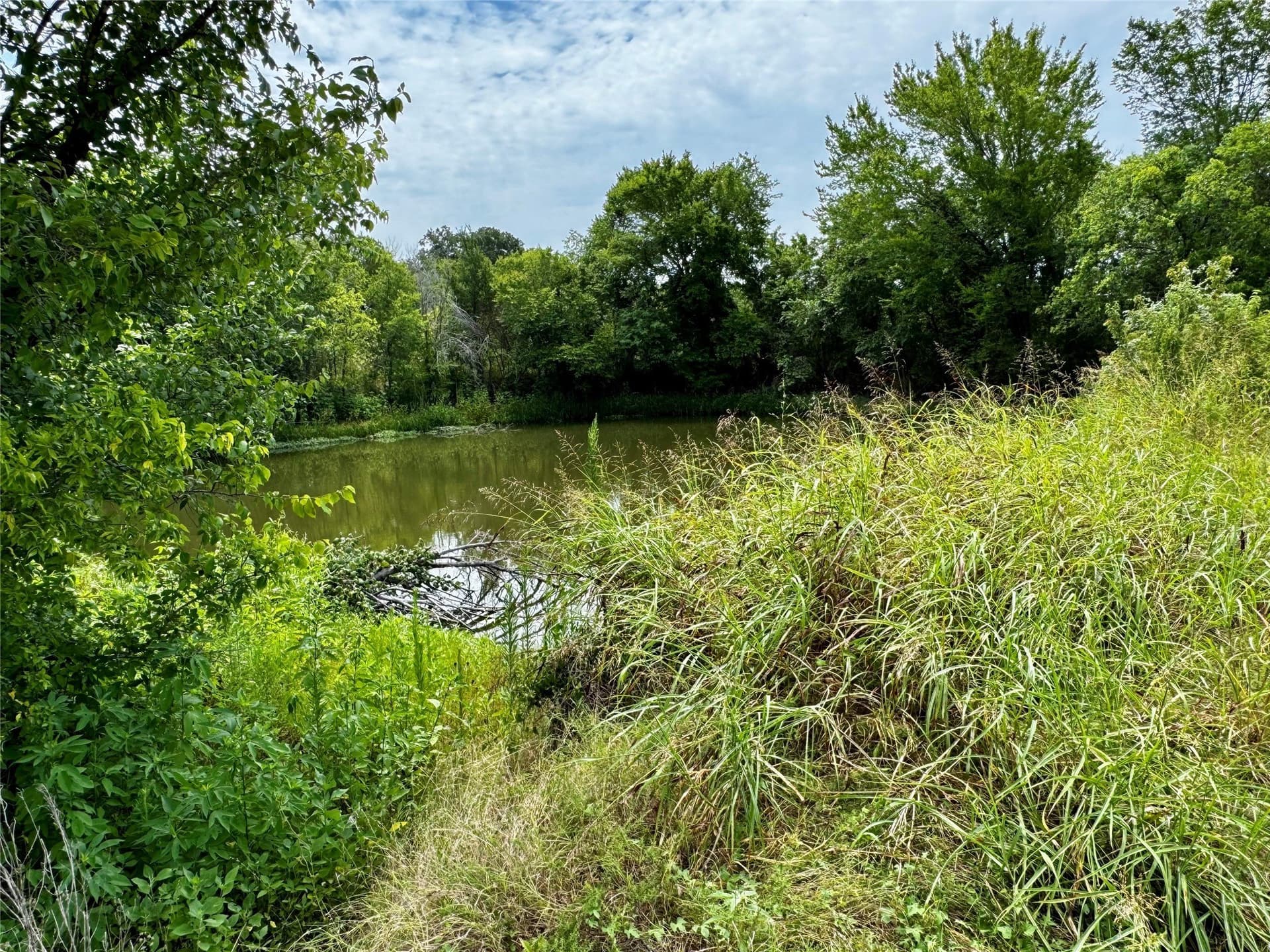 10.4 acres in McLennan County - photo 3