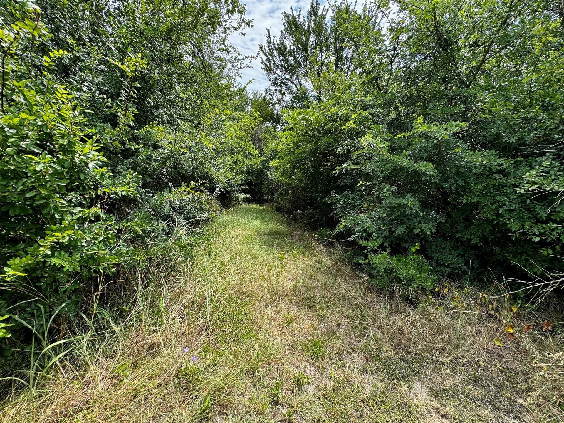 10.4 acres in McLennan County - photo 7