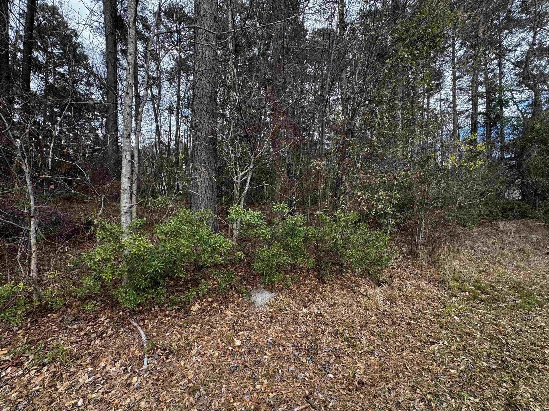 0.18 acres in Harrison County gallery image 2