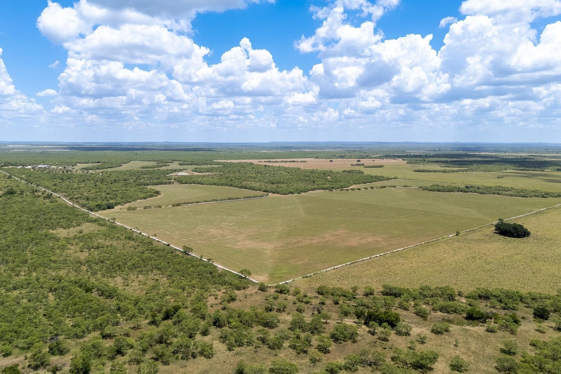 326 acres in Callahan County - photo 4