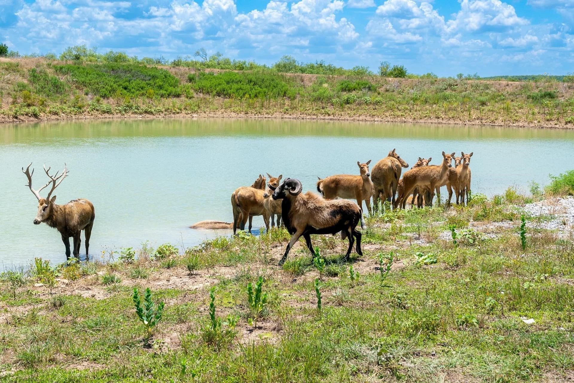 326 acres in Callahan County - photo 36