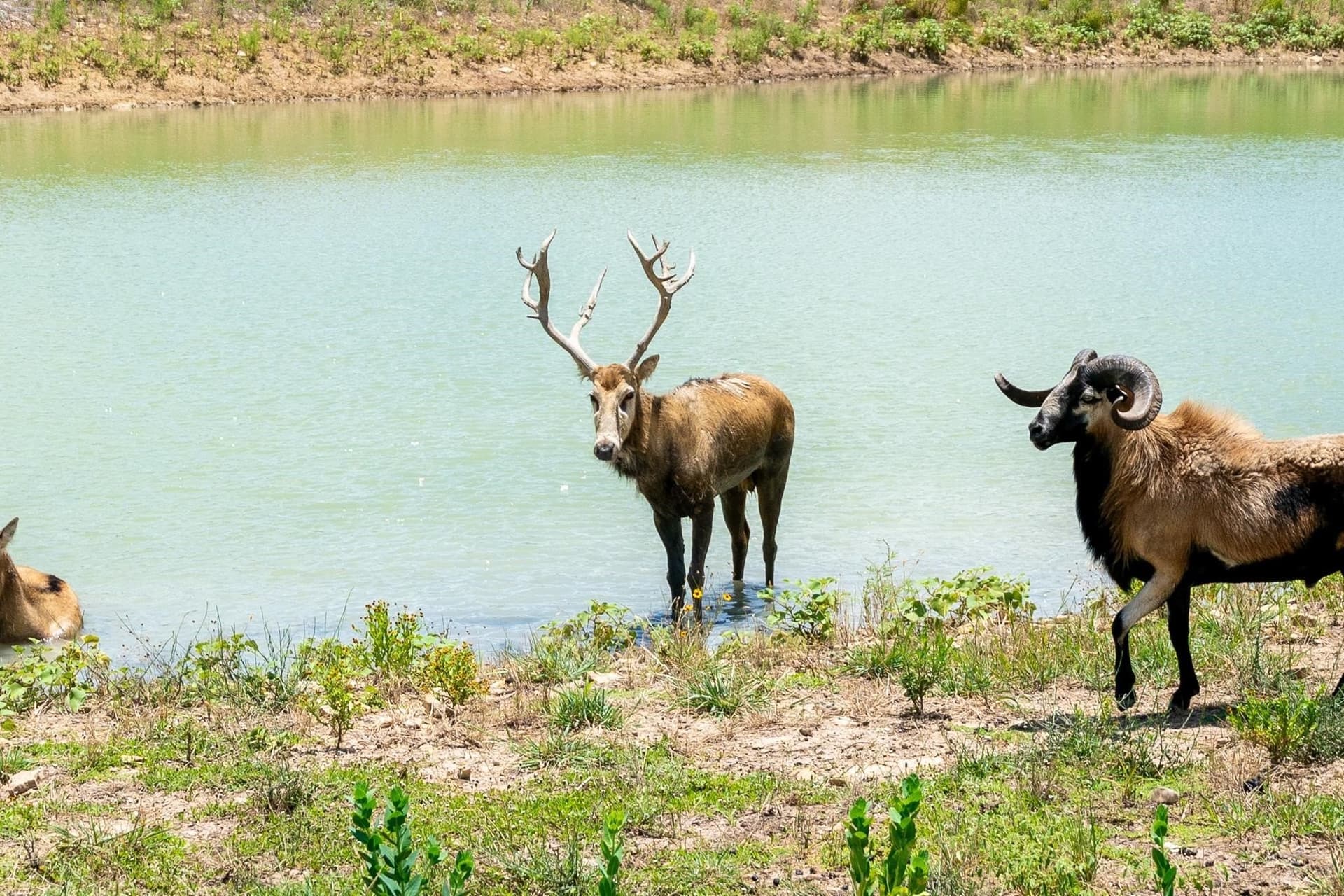 326 acres in Callahan County - photo 38