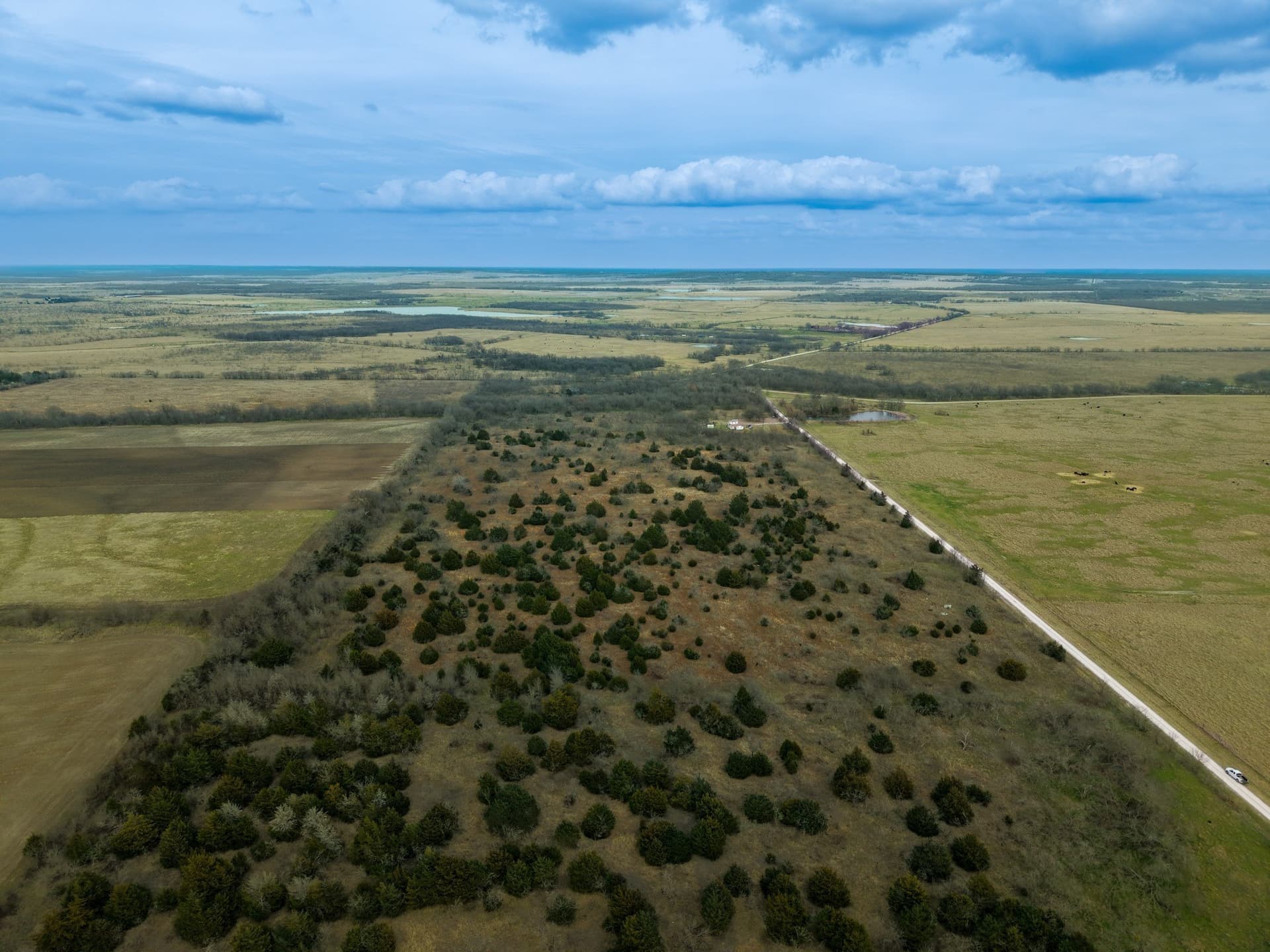 32 acres in Limestone County - photo 8