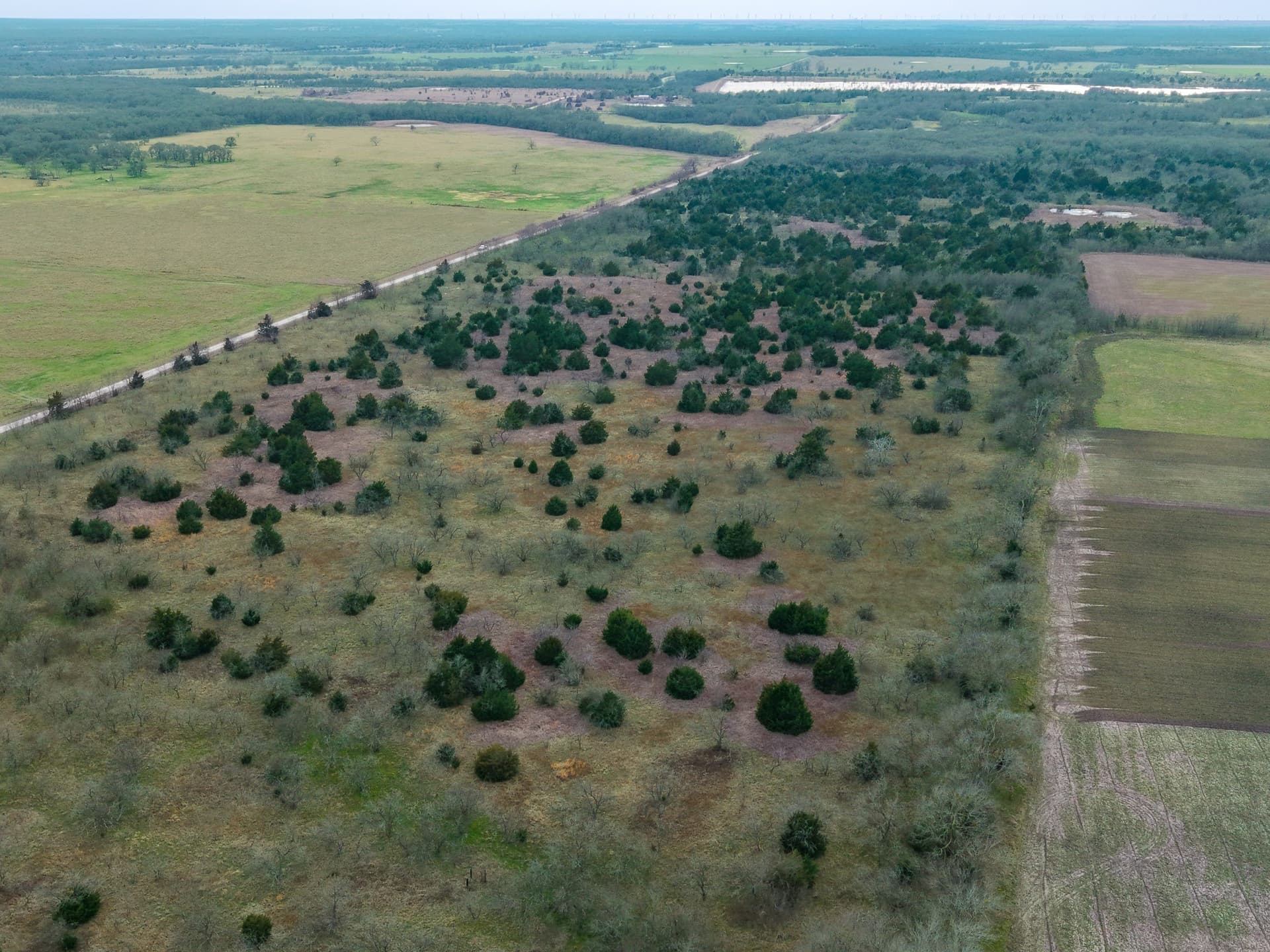 32 acres in Limestone County - photo 11
