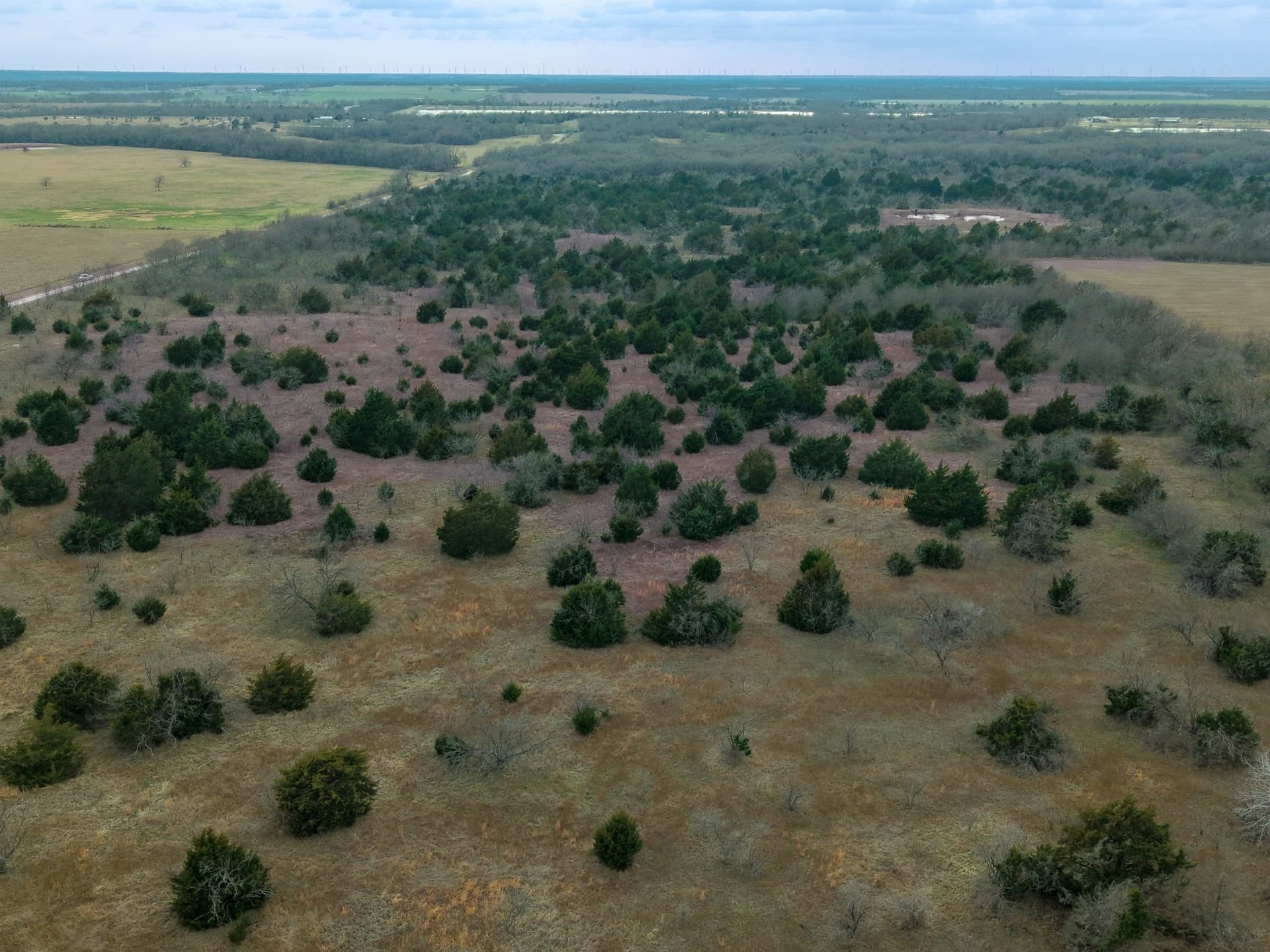 32 acres in Limestone County - photo 12