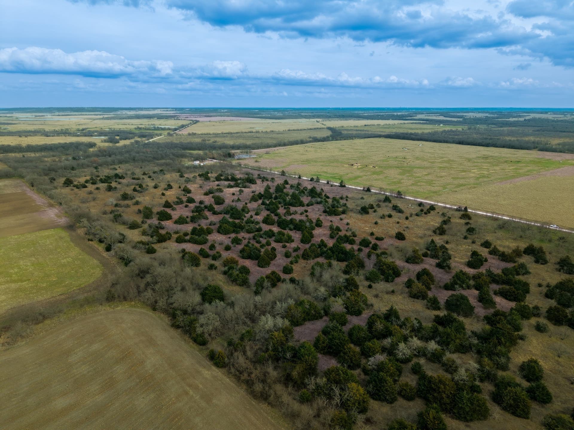 32 acres in Limestone County - photo 9