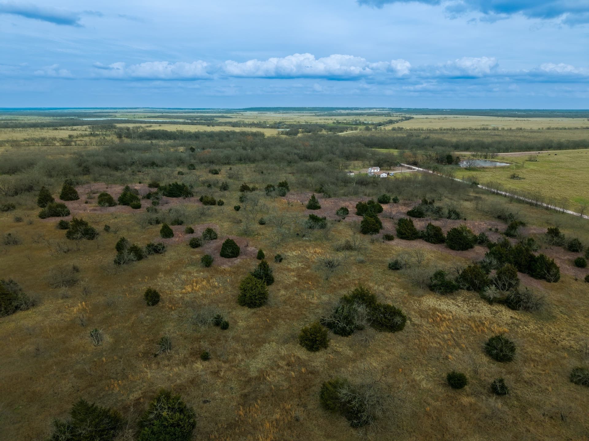32 acres in Limestone County - photo 13