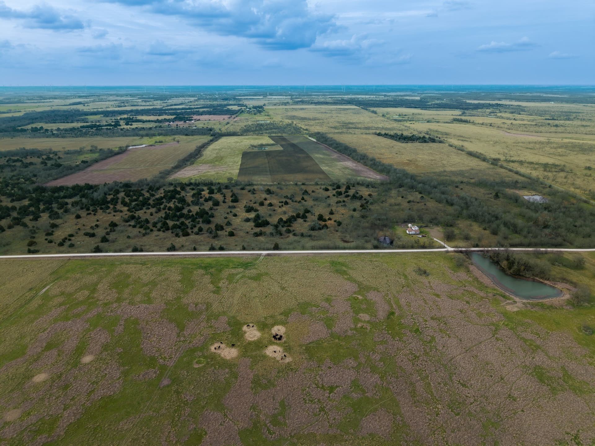 32 acres in Limestone County gallery image 2