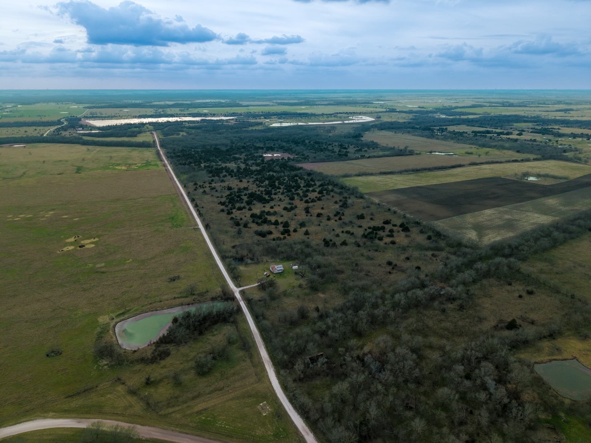 32 acres in Limestone County - photo 6