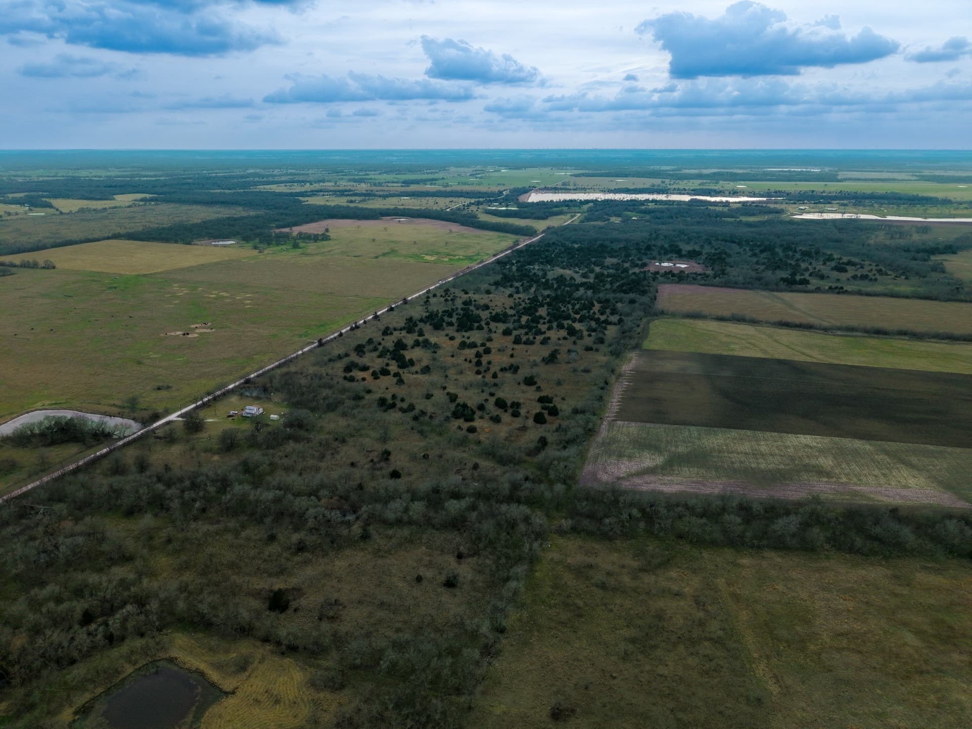 32 acres in Limestone County - photo 7