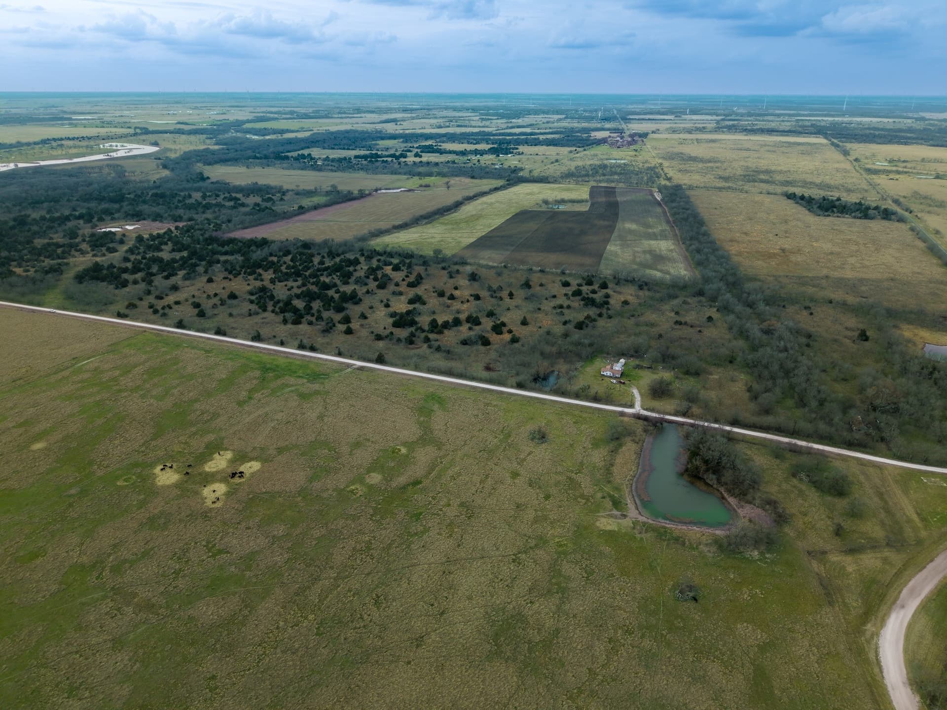32 acres in Limestone County gallery image 4