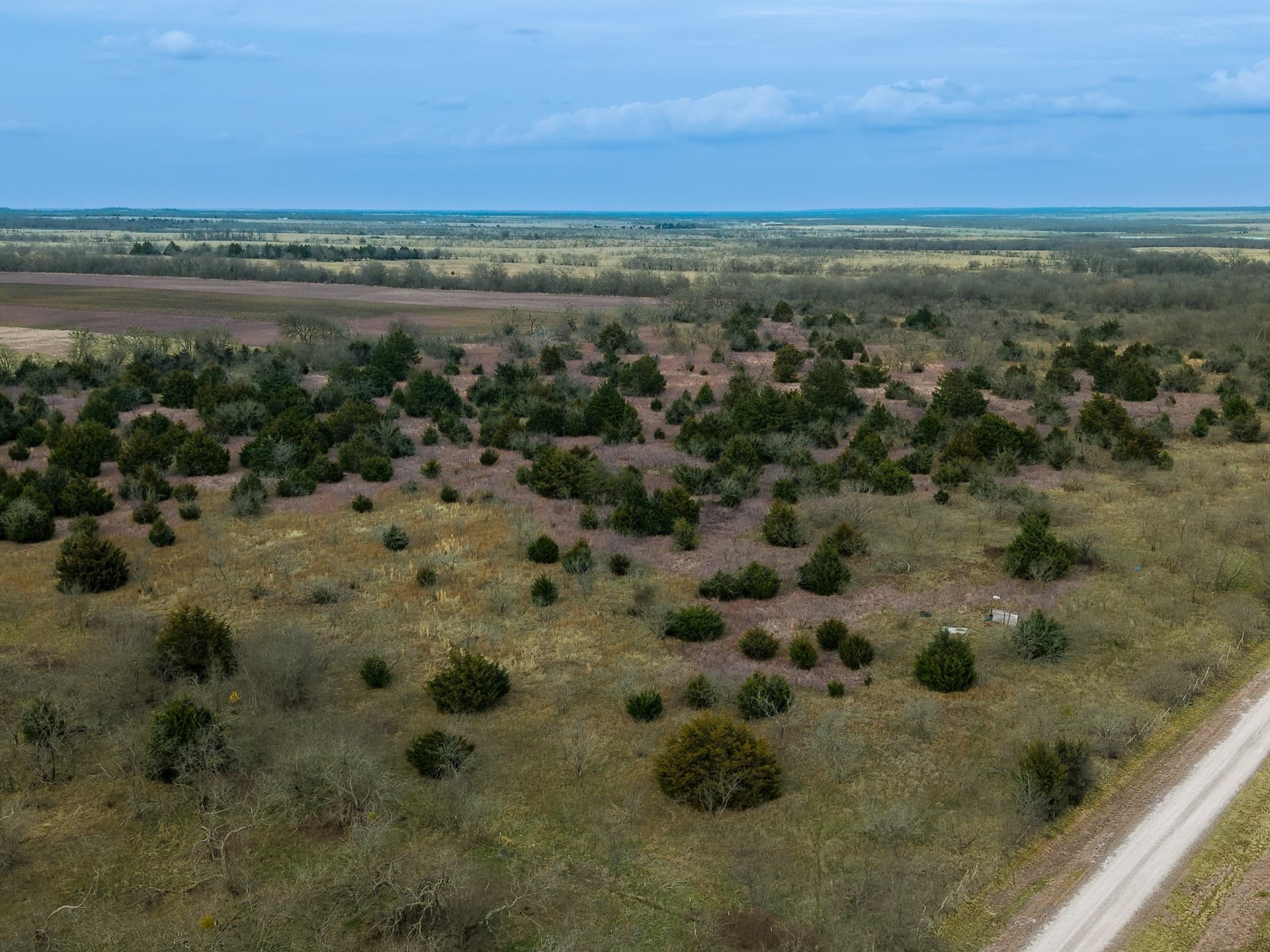 32 acres in Limestone County - photo 15