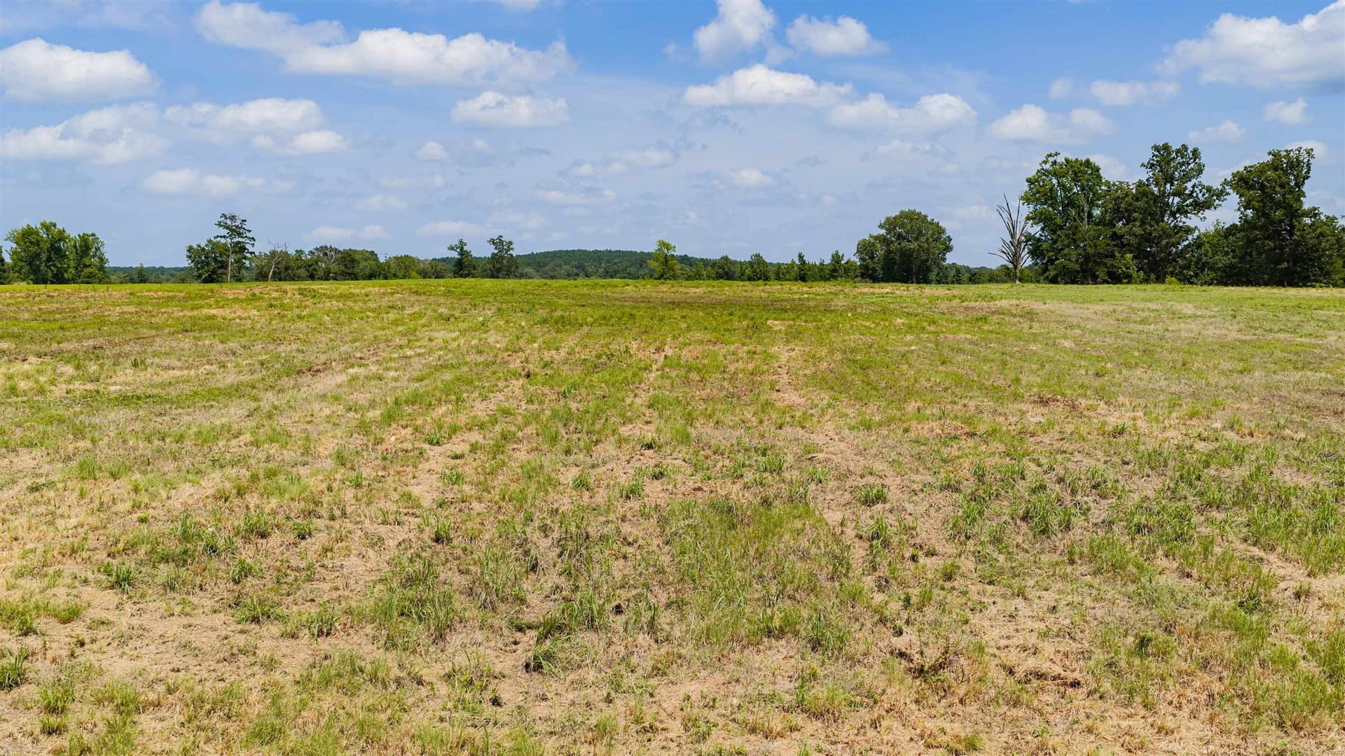 6.29 acres in Upshur County gallery image 3